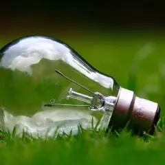 Jak prawidłowo wyrzucić zużytą żarówkę? Poradnik recyklingu