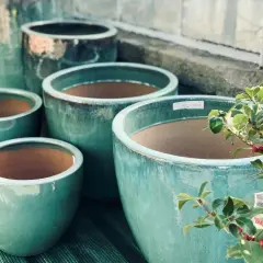 Jak prawidłowo wyrzucać doniczki ceramiczne - poradnik recyklingu