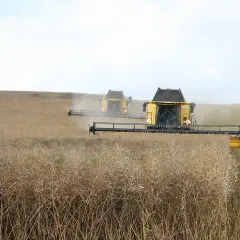 Jakie negatywne skutki niesie brak serwisowania silnika hydraulicznego dla maszyny i środowiska?