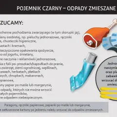Co wrzucamy do czarnego pojemnika na śmieci - kompletna lista odpadów