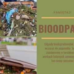 Ekosystem gdzie wyrzucić: Kompleksowy system odpadów Wrocławia