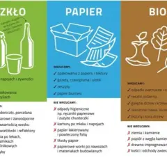 Jak prawidłowo wyrzucić opakowanie po lekach? Poradnik segregacji
