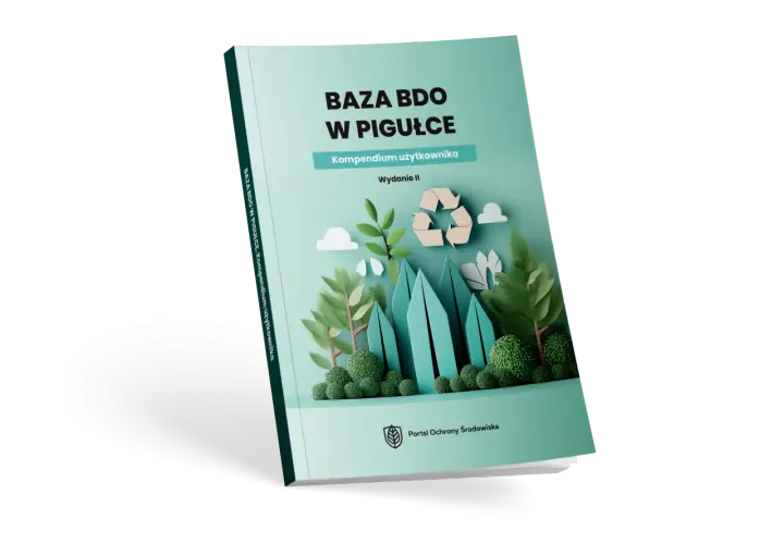 Co to jest BDO – kompletny przewodnik dla zainteresowanych