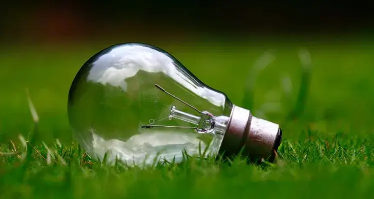 Jak prawidłowo wyrzucić zużytą żarówkę? Poradnik recyklingu