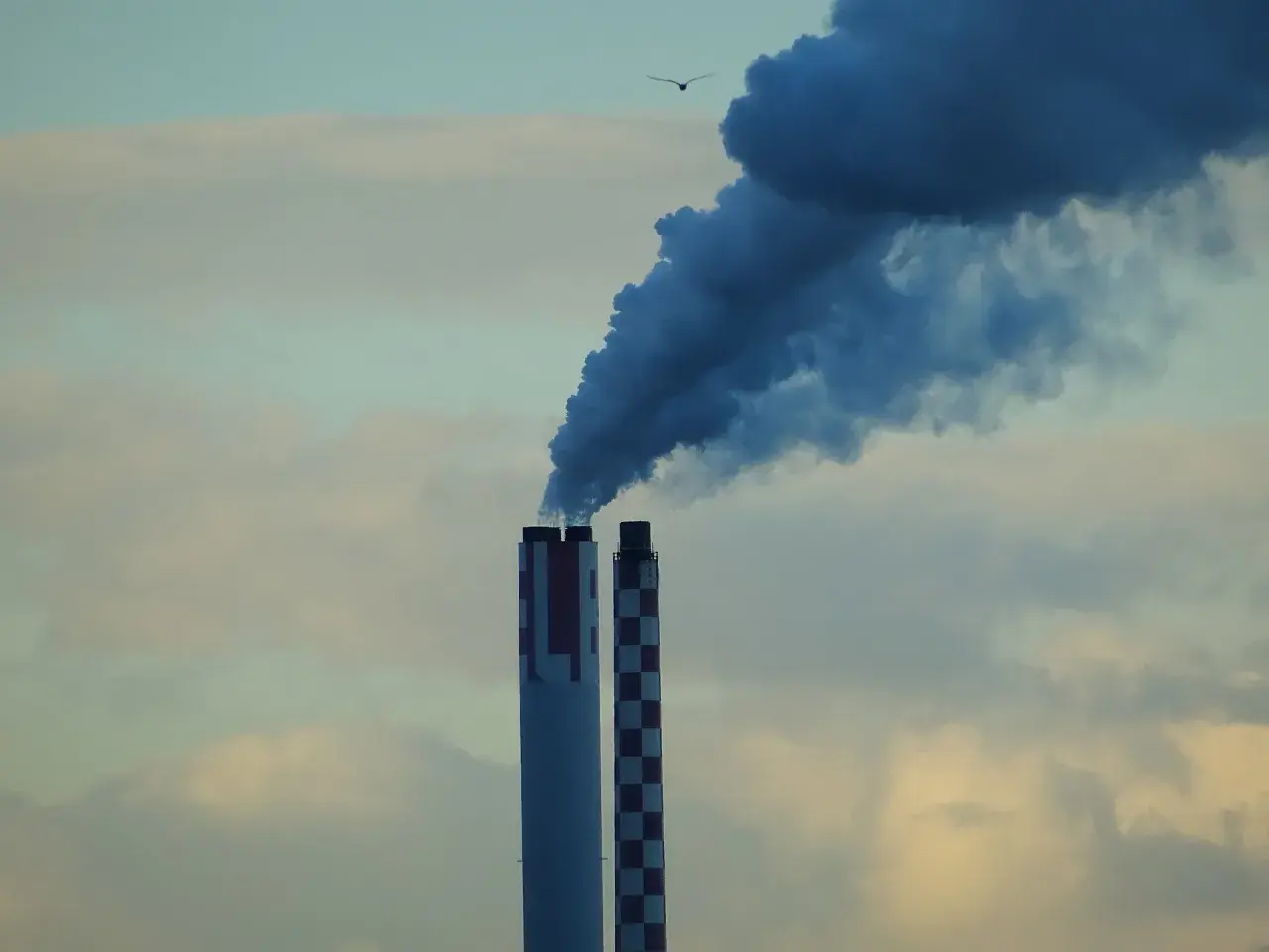 Co to jest emisja CO2 i jak wpływa na środowisko? Definicja, źródła i skutki