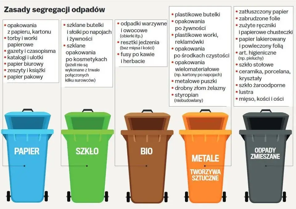 Zdjęcie Gdzie wyrzucić słoiki? Sprawdź zasady recyklingu i segregacji