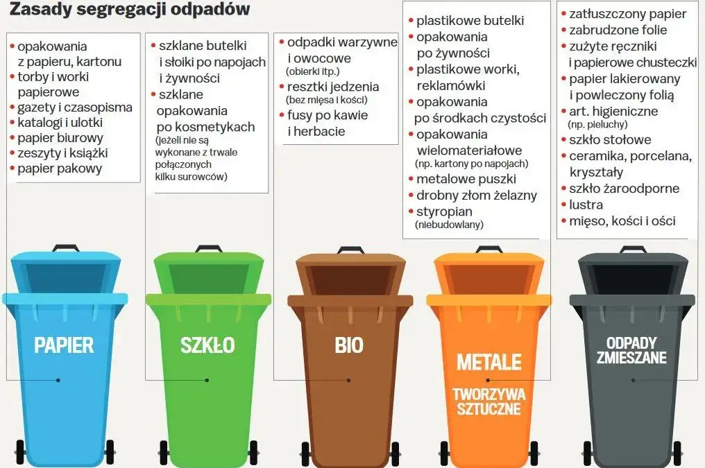 Zdjęcie Segregacja śmieci gdzie styropian - proste zasady sortowania i utylizacji